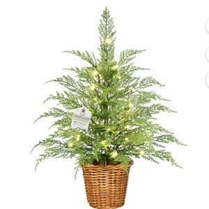 NWT My Texas House 24" Pre-Lit Green Cypress Christmas Tree Twinkle LED Lights